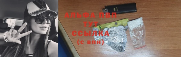 прущие грибы Магадан