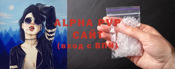 прущие грибы Магадан
