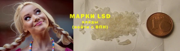 прущие грибы Магадан
