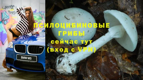 шишки Лиски