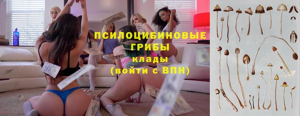 стафф Лихославль