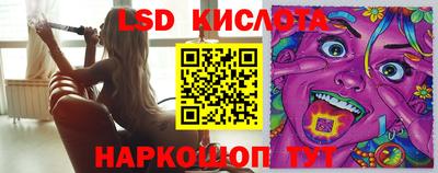 крисы Кингисепп