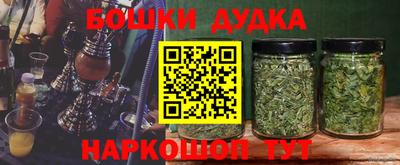 крисы Кингисепп