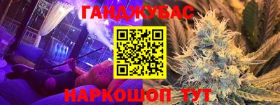 крисы Кингисепп