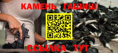 крисы Кингисепп
