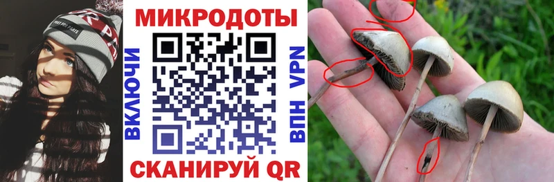 дарнет шоп  Урай  Псилоцибиновые грибы MAGIC MUSHROOMS 