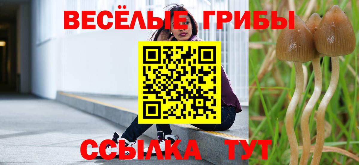 купить наркотики сайты  Урай  Псилоцибиновые грибы GOLDEN TEACHER  Галлюциногенные грибы Cubensis 